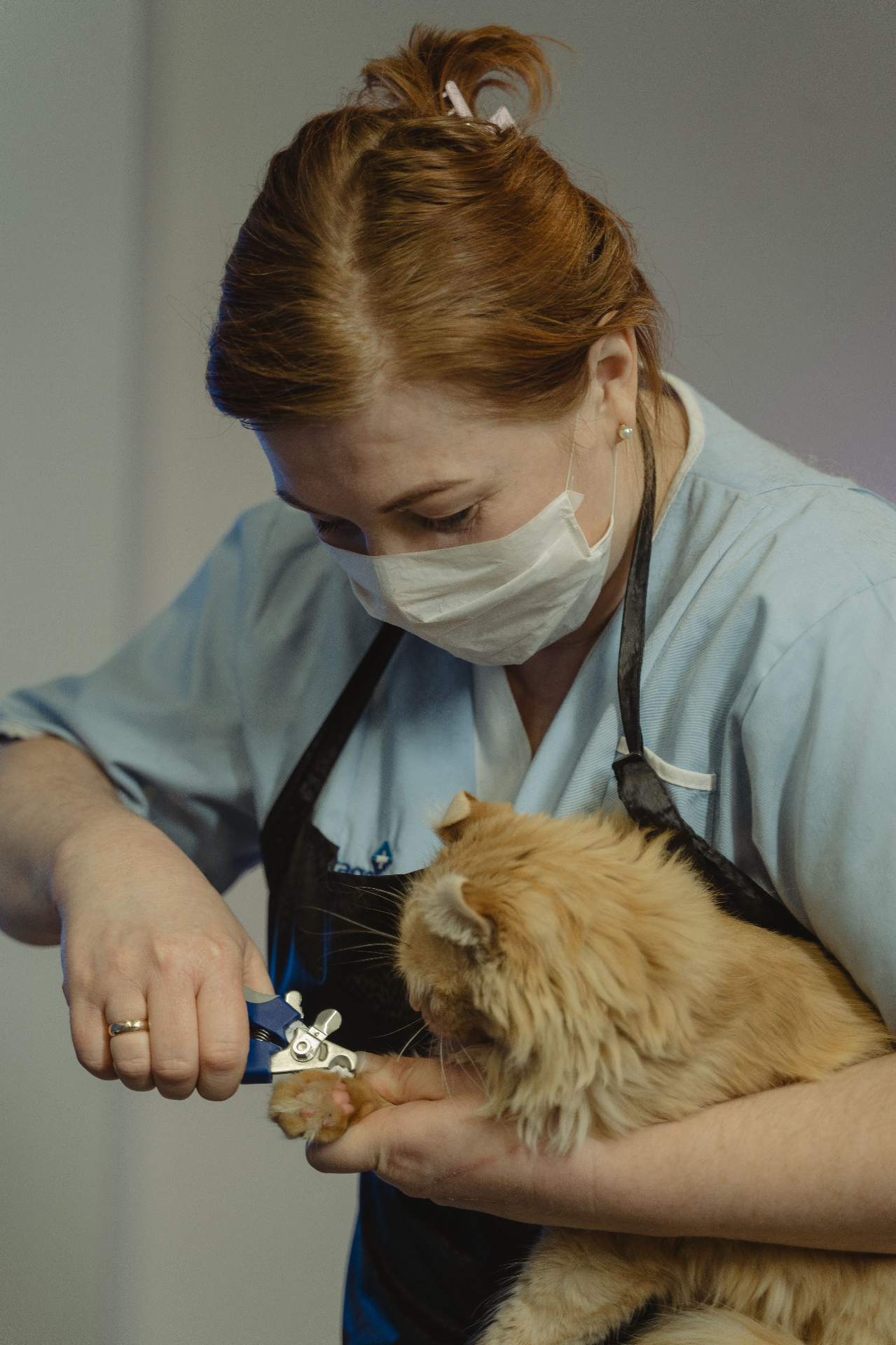 Careful nail trimming during a grooming session